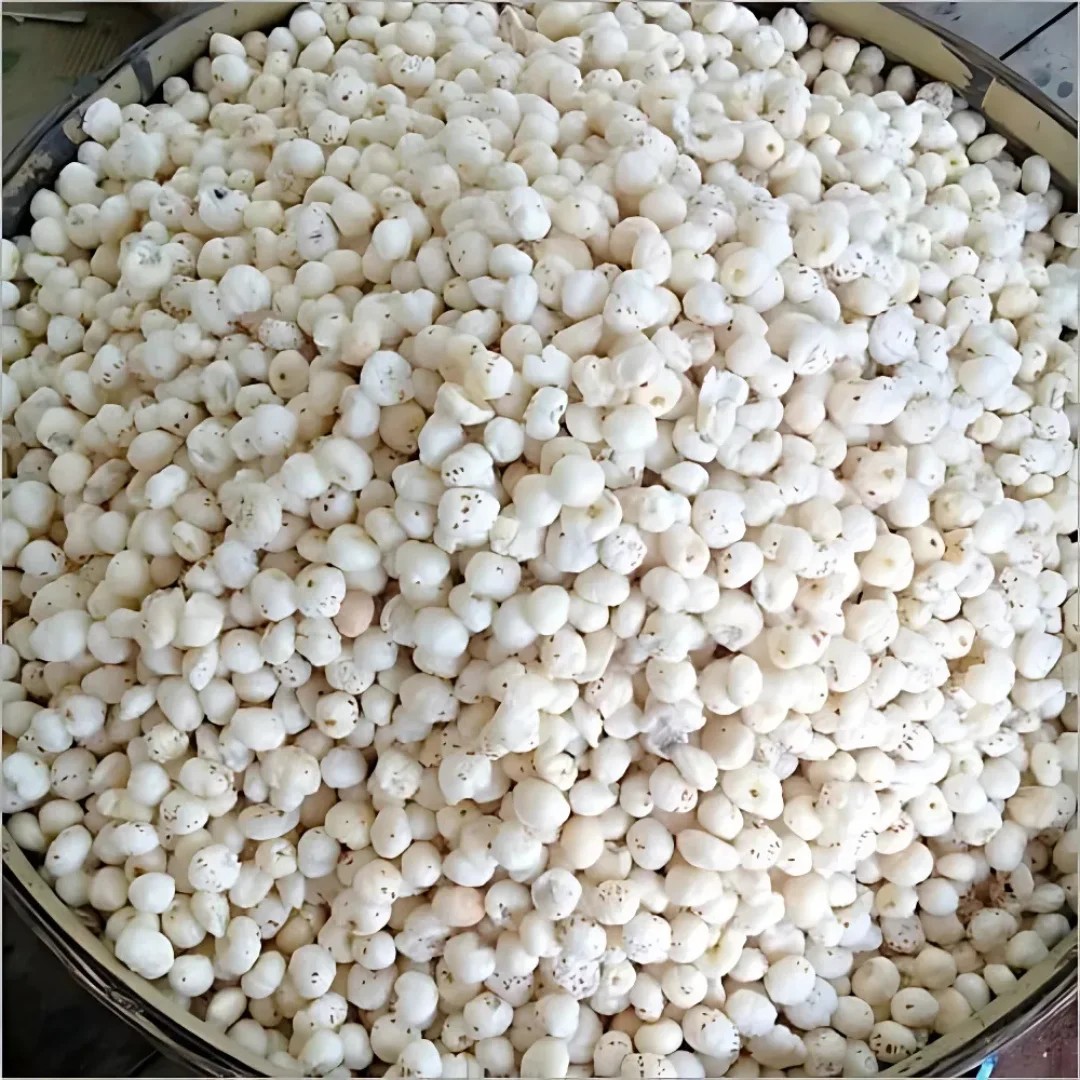 Raw Phool Makhana